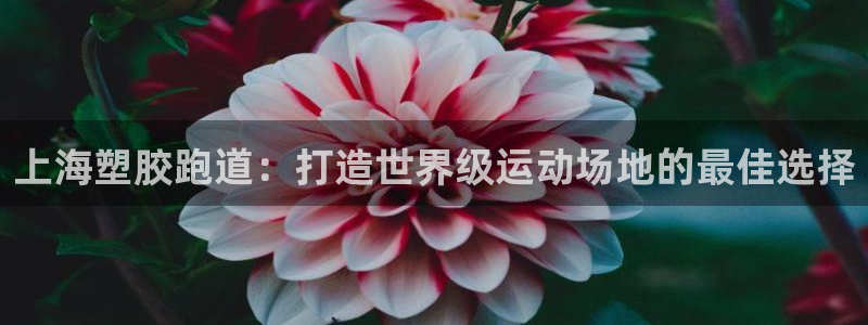 红足一1世666814最新结果：上海塑胶跑道：打造世界级运动场地的最佳选择