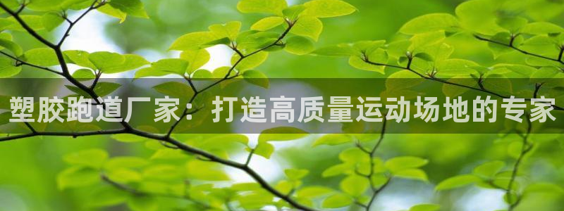 红足1世足球比分预测：塑胶跑道厂家：打造高质量运动场地的专家