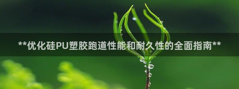 777814红·足一世：**优化硅PU塑胶跑道性能和耐久性的全面指南**