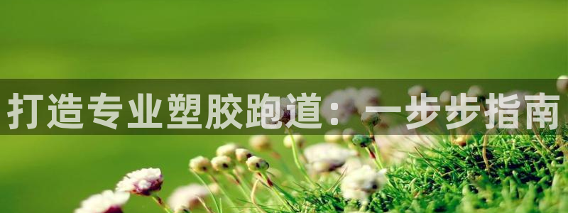 55814红足1世：打造专业塑胶跑道：一步步指南