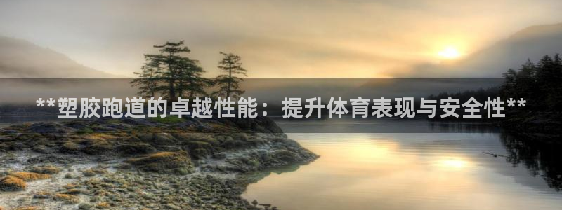 红足 世足球手机网：**塑胶跑道的卓越性能：提升体育表现与安全性**