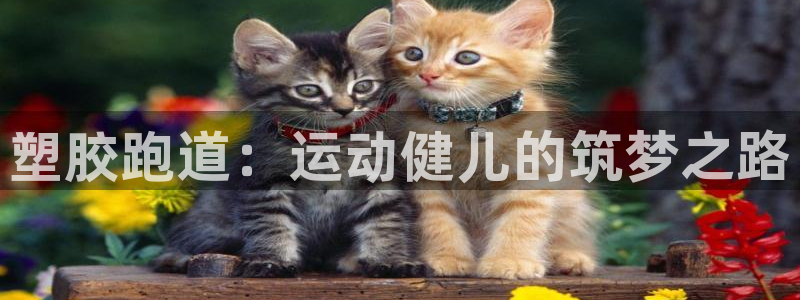 红足一1世手机版新皇冠：塑胶跑道：运动健儿的筑梦之路