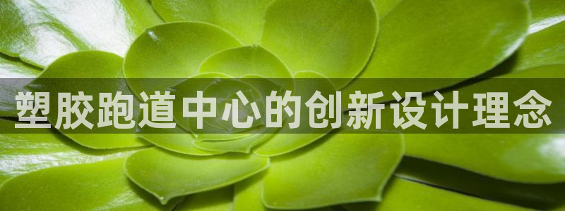红足i世足球手机网：塑胶跑道中心的创新设计理念