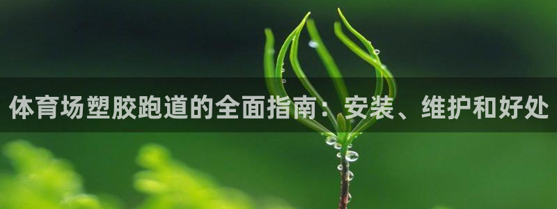 红足1一世