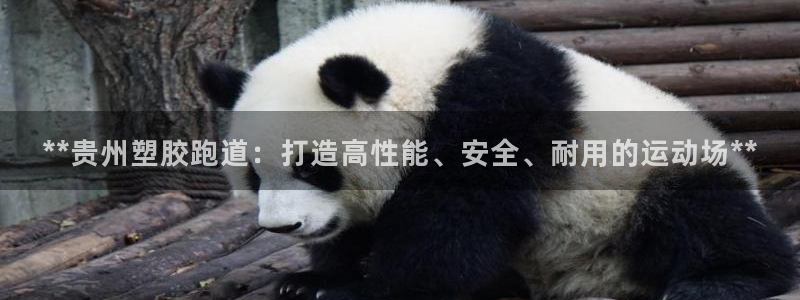 红足一1世：**贵州塑胶跑道：打造高性能、安全、耐用的运动场**