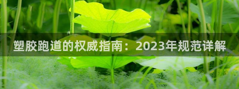 红足1一世 2站：塑胶跑道的权威指南：2023年规范详解