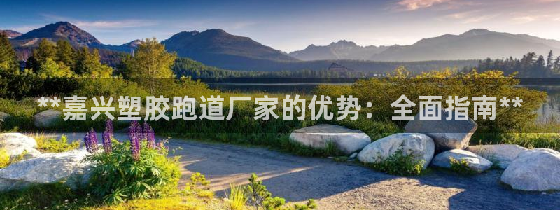红足1世开奖预测：**嘉兴塑胶跑道厂家的优势：全面指南**