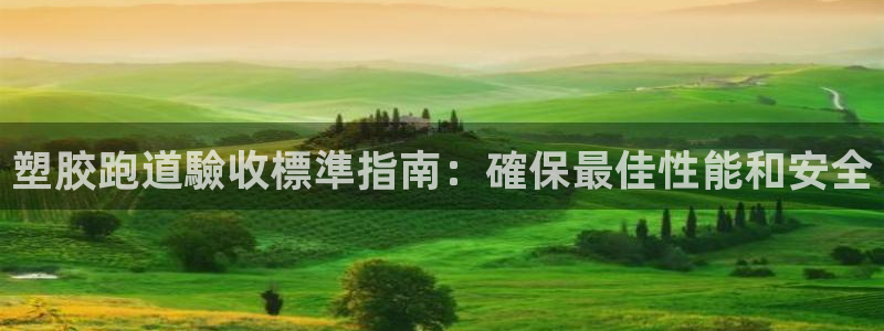 红足1世官网：塑胶跑道驗收標準指南：確保最佳性能和安全