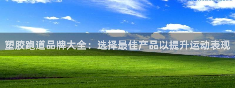 红足一1世官网比分：塑胶跑道品牌大全：选择最佳产品以提升运动表现