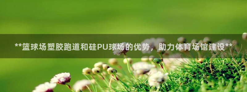 红足1世足球比分网址：**篮球场塑胶跑道和硅PU球场的优势，助力体育场馆建设**
