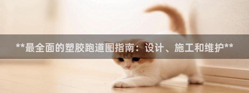 红足一1世皇冠地址：**最全面的塑胶跑道图指南：设计、施工和维护**