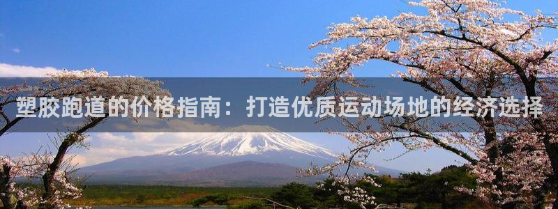 777814红·足一世比分篮球：塑胶跑道的价格指南：打造优质运动场地的经济选择