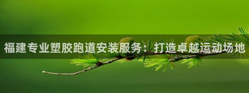 百度红足一1是干什么的：福建专业塑胶跑道安装服务：打造卓越运动场地