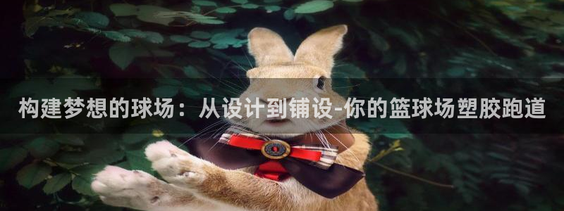 百度红足一1是什么样子的：构建梦想的球场：从设计到铺设-你的篮球场塑胶跑道