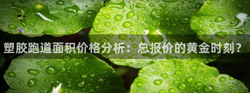 红足1世足球网址：塑胶跑道面积价格分析：总报价的黄金时刻？