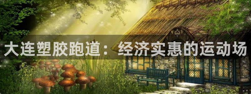 4633333开奖结果4176一点红：大连塑胶跑道：经济实惠的运动场