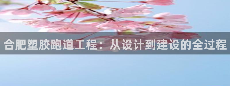 红足一丰：合肥塑胶跑道工程：从设计到建设的全过程