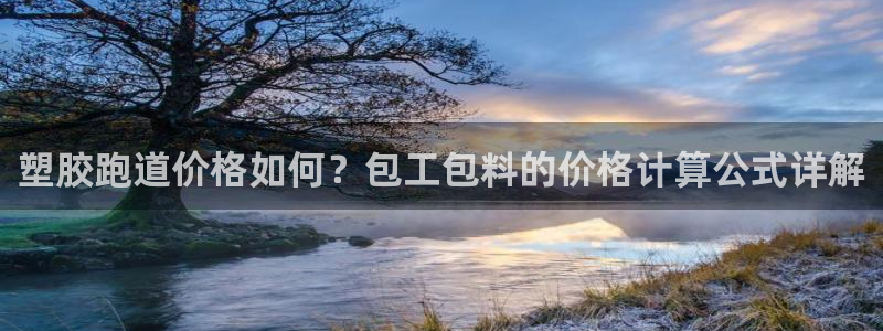 红足一1世皇冠：塑胶跑道价格如何？包工包料的价格计算公式详解