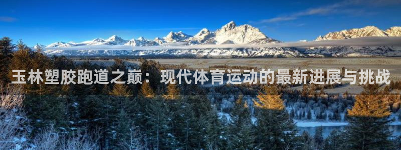 红足一1世比分网：玉林塑胶跑道之巅：现代体育运动的最新进展与挑战