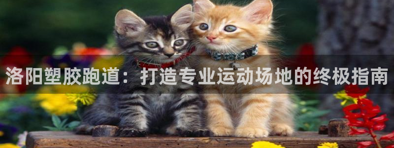 百度红足一1世：洛阳塑胶跑道：打造专业运动场地的终极指南