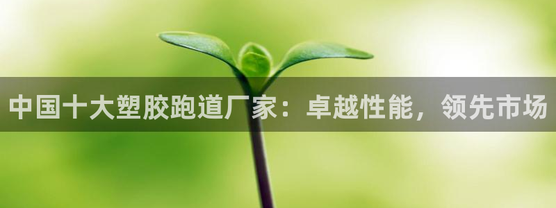 红足一丰：中国十大塑胶跑道厂家：卓越性能，领先市场