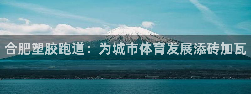 红足一1世平台：合肥塑胶跑道：为城市体育发展添砖加瓦