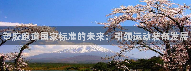 红足一1世66814：塑胶跑道国家标准的未来：引领运动装备发展