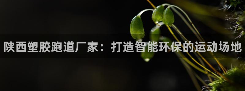 红足1世足球比分 localhost
