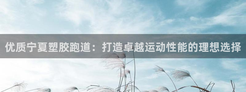 红足1一世红：优质宁夏塑胶跑道：打造卓越运动性能的理想选择