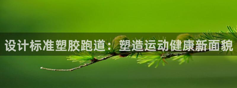 333814红·足一世比分：设计标准塑胶跑道：塑造运动健康新面貌