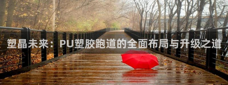 红足一1世官网足球推荐真人：塑晶未来：PU塑胶跑道的全面布局与升级之道