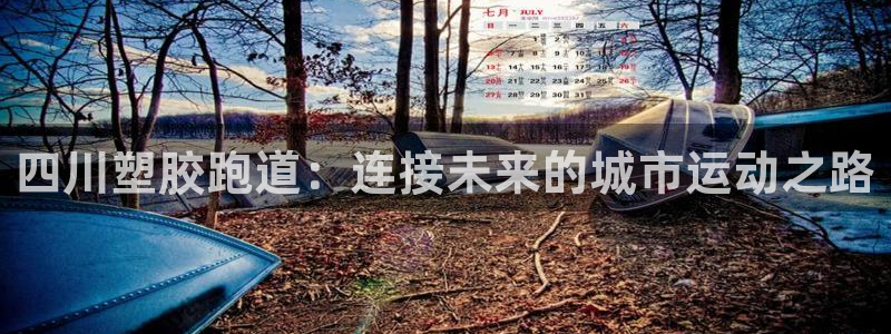 红足一丰：四川塑胶跑道：连接未来的城市运动之路
