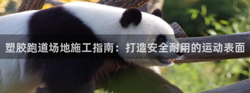红足一1世666814最新结果：塑胶跑道场地施工指南：打造安全耐用的运动表面