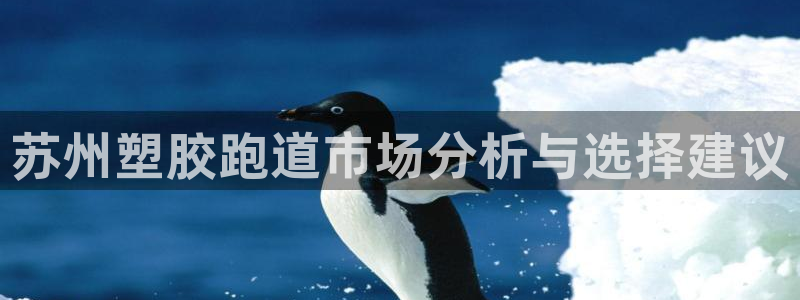 红世一足球比分：苏州塑胶跑道市场分析与选择建议