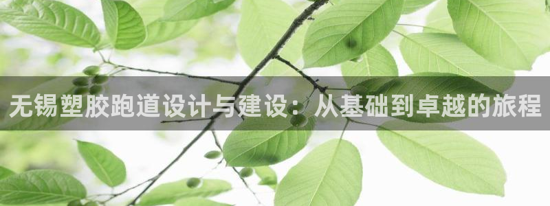 红足一1世皇冠登录：无锡塑胶跑道设计与建设：从基础到卓越的旅程