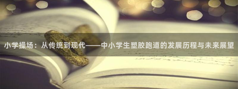 红足一1世：小学操场：从传统到现代——中小学生塑胶跑道的发展历程与未来展望