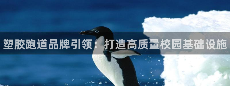 66814红足一66814世：塑胶跑道品牌引领：打造高质量校园基础设施