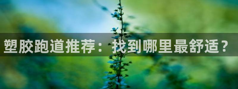 百度红足一1是干什么的