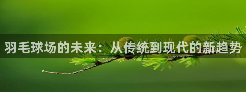 红足一1世手机皇冠：羽毛球场的未来：从传统到现代的新趋势