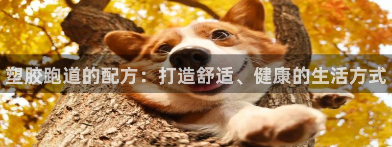 新2足球平台出租网站:塑胶跑道的配方:打造舒适、健康的生活方式