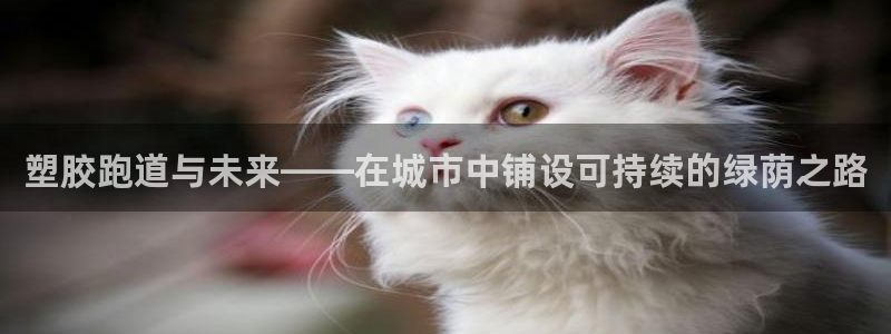 红足1世足球比分预测:塑胶跑道与未来——在城市中铺设可持续的绿荫之路