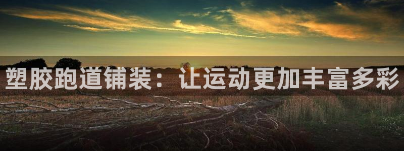 红足i世足球手机网：塑胶跑道铺装：让运动更加丰富多彩