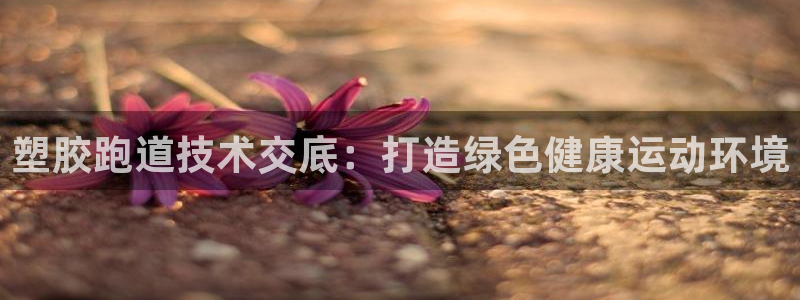 红足1世手机板:塑胶跑道技术交底:打造绿色健康运动环境