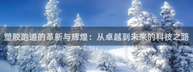 红足i世足球手机网：塑胶跑道的革新与辉煌：从卓越到未来的科技之路