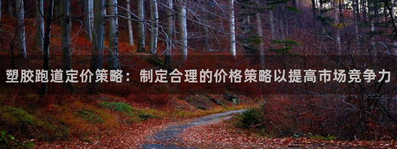 77814红足1世：塑胶跑道定价策略：制定合理的价格策略以提高市场竞争力