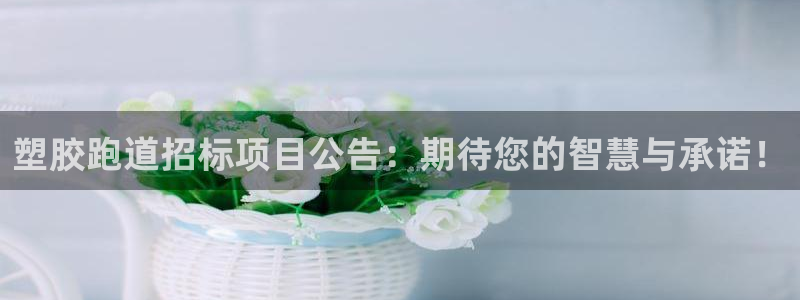 红足一1世666814足球比分网：塑胶跑道招标项目公告：期待您的智慧与承诺！