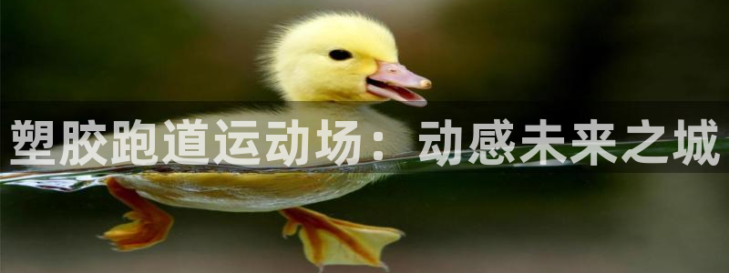 44814红足：塑胶跑道运动场：动感未来之城