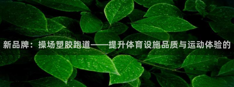 红足1世足球网址：新品牌：操场塑胶跑道——提升体育设施品质与运动体验的