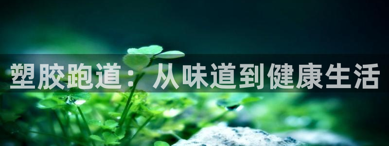 红足1世手机版下载：塑胶跑道：从味道到健康生活