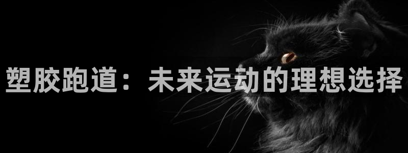 333814红·足一世比分：塑胶跑道：未来运动的理想选择